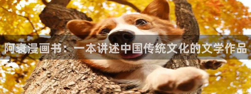 汗汗漫画在线免费登录入口：阿衰漫画书：一本讲述中国传统文化的文学作品