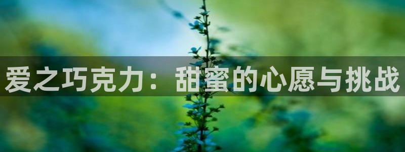 韩国汗汗漫画：爱之巧克力：甜蜜的心愿与挑战