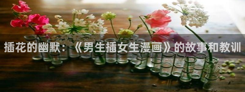 汗汗漫画网站官网：插花的幽默：《男生插女生漫画》的故事和教训