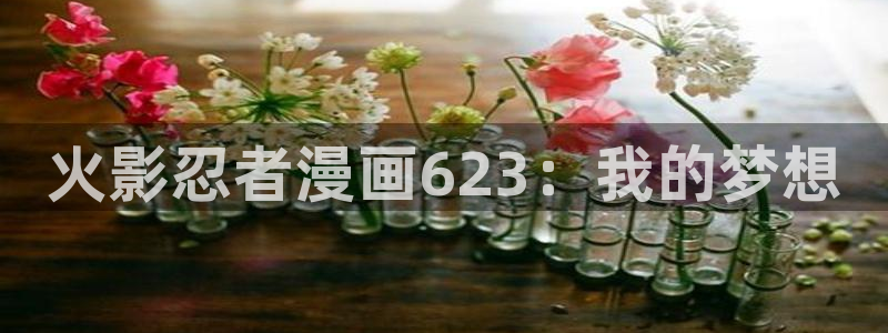 汗汗漫画首页分类：火影忍者漫画623：我的梦想