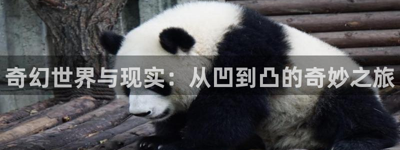 汗汗漫画官：奇幻世界与现实：从凹到凸的奇妙之旅