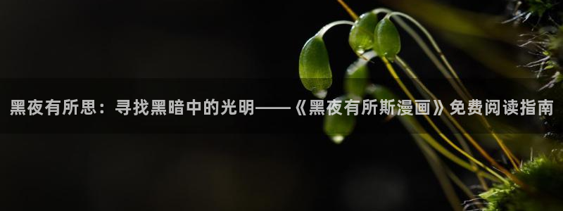 sss汗汗漫画：黑夜有所思：寻找黑暗中的光明——《黑夜有所斯漫画》免费阅读指南